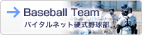 �o�C�^���l�b�g�d���싅��